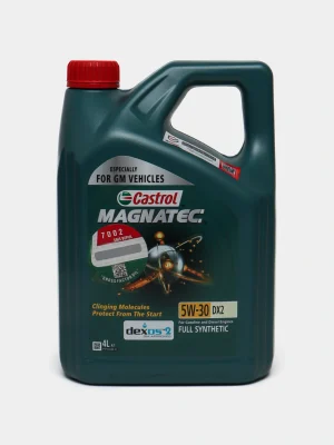 Magnatec 5W-30 DX2